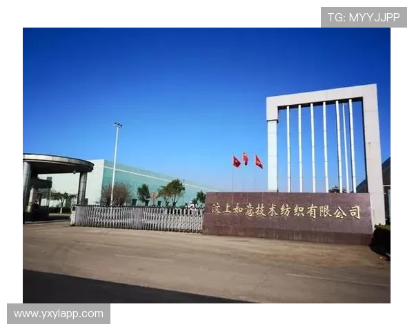 亚星电子作为电子产品开发企业，如何实现产品差异化竞争优势